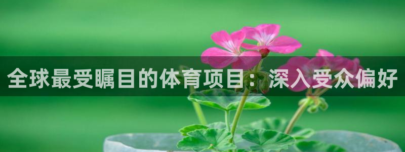 永韬星娱乐