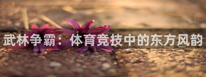 星欧娱乐法711.112怎么扣钱