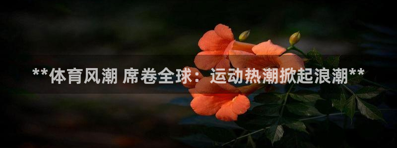 星欧娱乐扣款时间查询方法怎么查不到