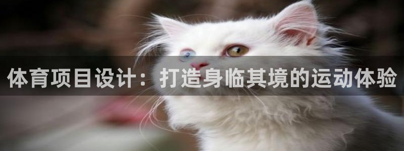 星欧娱乐工711.11是正规的吗