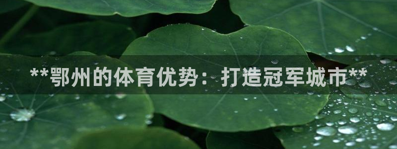 星欧娱乐退款流程详解