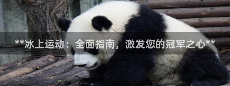 星欧娱乐法最新进展