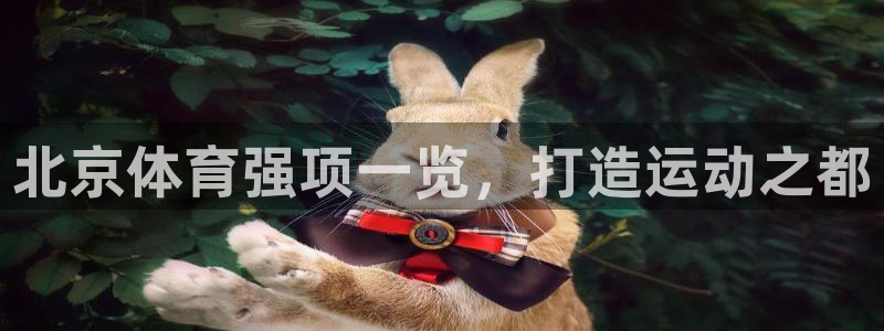 星欧娱乐公司创始人背景故事是什么