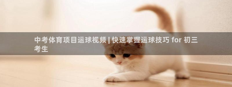 星澳娱乐公司地址