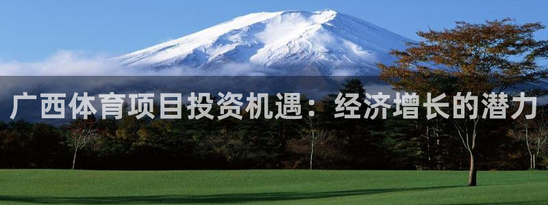 星欧娱乐最建议买的三个产品有哪些内容