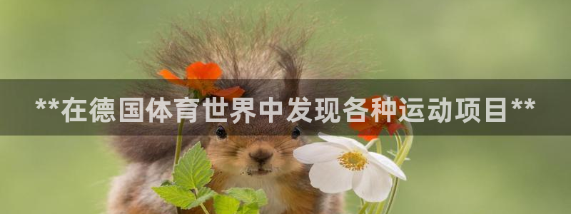 星欧娱乐挂机赚钱软件