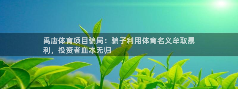 星欧娱乐扣款流程详解图