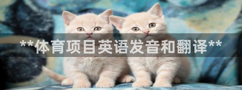 星欧娱乐的创始人背景故事介绍