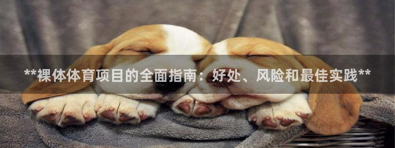 星欧娱乐挂机赚钱软件