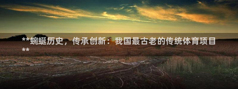 星欧娱乐属于什么档次的公司啊