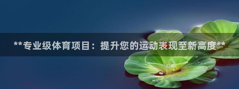 星欧娱乐app最新版本更新内容