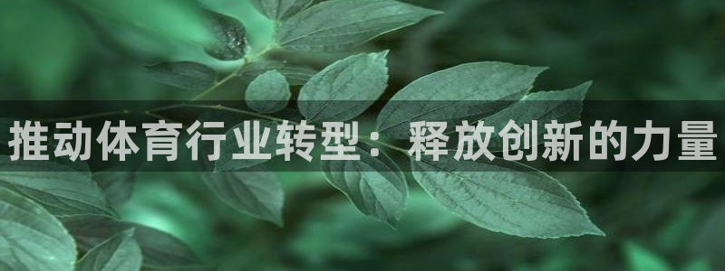 星欧娱乐属于什么档次的软件