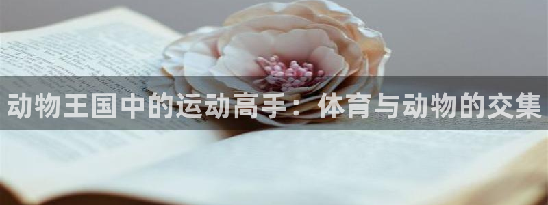 星欧娱乐信存手机版下载