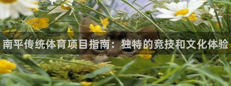 星欧娱乐联4.8.5.6.2.4.3下载