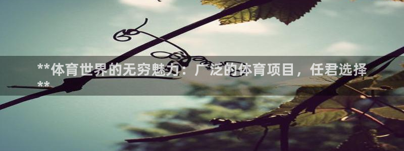 星欧娱乐工客服电话24小时人工服务