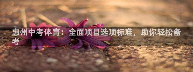 星欧娱乐最建议买的三个产品有哪些呢